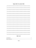 Luận văn tốt nghiệp công nghệ nhiệt xử lý chất rắn