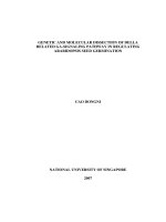 Genetic and molecular dissection of DELLA related GA signaling pathway in regulating arabidopsis seed germination 