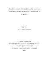 Two dimensional colloidal assembly under an alternating electric field  from introduction to structure 