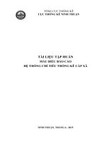 TÀI LIỆU TẬP HUẤN MẪU BIỂU BÁO CÁO HỆ THỐNG CHỈ TIÊU THỐNG KÊ CẤP XÃ