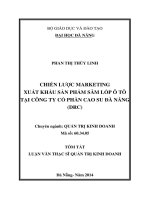 Chiến lược marketing xuất khẩu sản phẩm săm lốp ô tô tại công ty cổ phần cao su đà nẵng (DRC) 