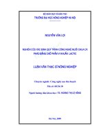 Luận văn Thạc sỹ Nông nghiệp: Nghiên cứu xác định công nghệ muối chua cà pháo bằng chế phẩm vi khuẩn Lactic  Nguyễn Văn Lợi