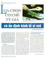 Lựa chon cơ chế tỷ giá và ổn định kinh tế vĩ mô 