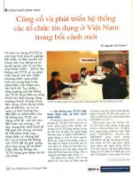 Củng cố và phát triển hệ thống các tổ chức tín dụng ở việt nam trong bối cảnh mới 