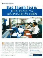 Bao thanh toán thực trạng và giải pháp phát triển 