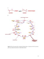 Molecular analysis of mutations in agrobacterium tumefaciens under selection pressure 2 