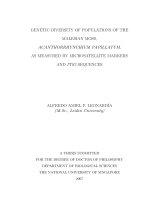 Genetic diversity of populations of the malesian moss, acanthorrhynchium papillatum, as measured by microsatellite markers and ITS2 sequences 
