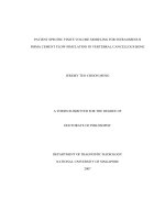 Patient specific finite volume modeling for intraosseous PMMA cement flow simulation in vertebral cancellous bone 