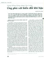 Vùng đồng bằng sông cửu long   ứng phó với biến đổi khí hậu 