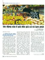 Hiệu ứng trung chuyển   tác động của tỉ giá đến giá cả và lạm phát phần 2 