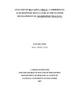 A THESIS SUBMITTED FOR THE DEGREE OF DOCTOR OF PHILOSOPHY