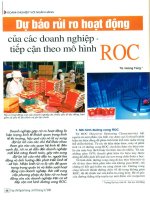 Dự báo rủi ro hoạt động của các doanh nghiệp theo mô hình ROC 