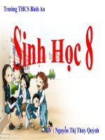 Bài giảng điện tử sinh học lớp 8 tham khảo thao giảng bài 6 phản xạ (1) 