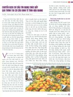 Chuyển dịch cơ cấu tín dụng thức đẩy quá trình tái cơ cấu kinh tế tỉnh hậu giang 