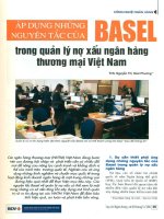 Áp dụng những nguyên tắc của basel trong quản lý nợ xấu ngân hàng thương mại việt nam 