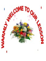 Phong trào Tây Sơn  Lịch sử