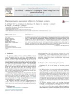 Thermodynamic assessment of the cs–te binary system