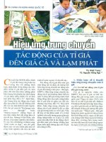 Hiệu ứng trung chuyển   tác động của tỉ giá đến giá cả và lạm phát phần 1 