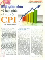 Một góc nhìn về lạm phát và chỉ số CPI 