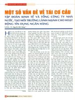 Một số vấn đề về tái cơ cấu tạp đoàn kinh tế và tổng công ty nhà nước, tạo môi trường lành mạnh cho hoạt động tín dụng ngân hàng 