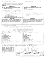 Đề cương Sinh 8   Mẫn Hoàng