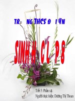 Bài giảng điện tử sinh học lớp 8 tham khảo thao giảng bài 6 phản xạ (26) 