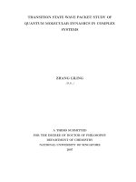 Transition state wave packet study of quantum molecular dynamics in complex systems 