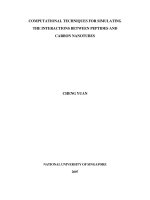 Computational techniques for simulating the interactions between peptides and carbon nanotubes 