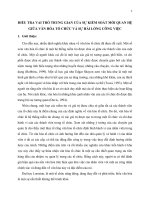 ĐIỀU TRA VAI TRÒ TRUNG GIAN CỦA SỰ KIỂM SOÁT MỐI QUAN HỆ GIỮA VĂN HÓA TỔ CHỨC VÀ SỰ HÀI LÒNG CÔNG VIỆC