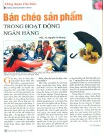 Bán chéo sản phẩm trong hoạt động ngân hàng 