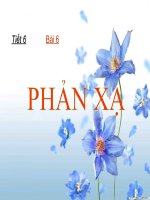 Bài giảng điện tử sinh học lớp 8 tham khảo thao giảng bài 6 phản xạ (3) 