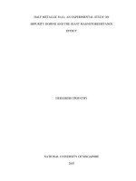 Half metallic fe3o4  an experimental study on impurity doping and the giant magnetoresistance effect 