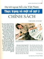 Dự trữ ngoại hối của việt nam   thực trạng và một số gợi ý chính sách 