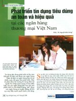 Phát triển tín dụng tiêu dùng an toàn và hiệu quả tại các ngân hàng thương mại việt nam 