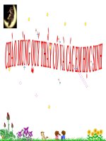 Bài giảng điện tử sinh học lớp 8 tham khảo thao giảng bài 6 phản xạ (22) 