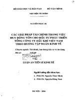 các giải pháp tài chính trong việc huy động vốn cho đầu tư phát triển tổng công ty dầu khí việt nam theo hướng tập đoàn kinh tế