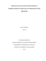 Molecular analysis of mutations in agrobacterium tumefaciens under selection pressure 1 