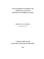 The role of hydrogen sulphide in the cardiovascular system  emphasis on haemorrhagic shock 