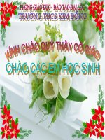 Bài giảng điện tử sinh học lớp 8 tham khảo thao giảng bài 6 phản xạ (4) 