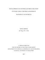 Development of controlled drug delivery systems using uniform nanoporous materials as matrices 