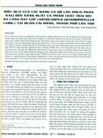 Hiệu quả của các dạng và số lần phun phân kali đến năng suất và phẩm chất trái mít ba láng hạt lép (artocarpus heterophyllus lamk ) tại quận cái răng, thành phố cần thơ 