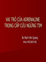 VAI TRÒ của ADRENALINE TRONG cấp cứu NGỪNG Tim