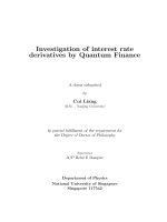 Investigation of interest rate derivatives by quantum finance 