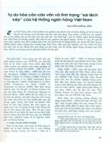 Tự do hóa cán cân vốn và tình trạng sai lệch kép của hệ thống ngân hàng việt nam 