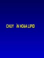 Bài Giảng Chuyển Hóa Lipid