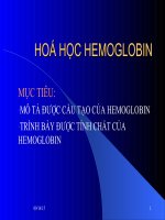 Bài Giảng Hóa Sinh Hemoglobin