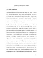 Supported nanosized gold catalysi the influence of support morphology and reaction mechanism  2 