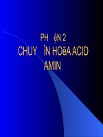 Chuyển Hóa Acid Amin