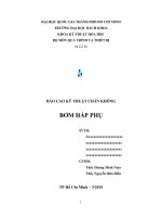 báo cáo kỹ thuật chân không  bơm hấp phụ