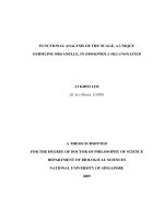 Functional analysis of the nuage, a unique germline organelle, in drosophila melanogaster 1 